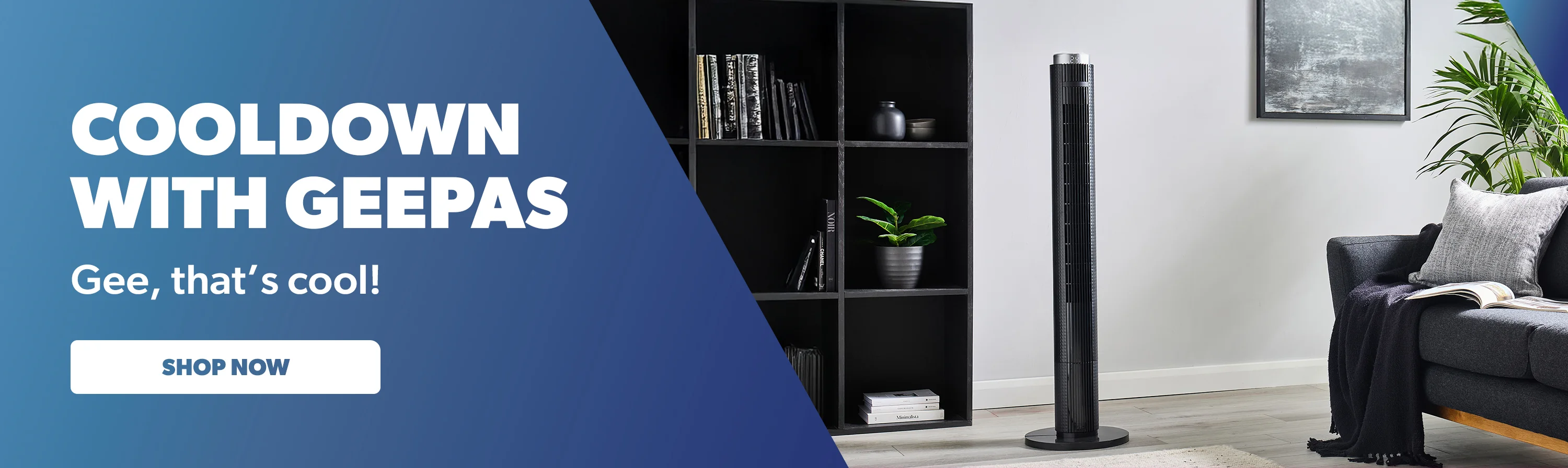 Smart Living, Budget Friendly